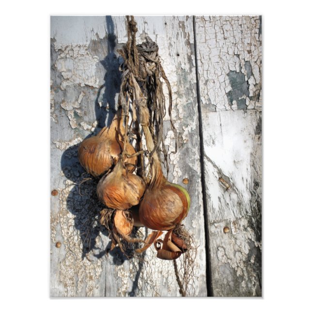 ONIONS PHOTO PRINT (Front)