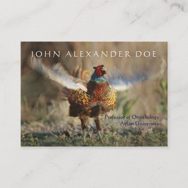 Onithologist - Ornithology Professor - Two Sided Business Card (Front)