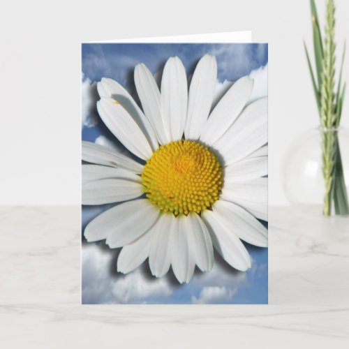 Only a Marguerite Blossom  your text  ideas Card