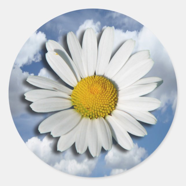 Only a Marguerite Blossom + your text & ideas Classic Round Sticker (Front)