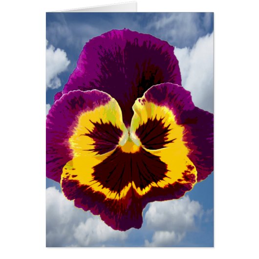 Only a Pansy Blossom + your text & ideas Cards (Front)