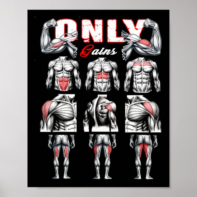 Only Gains Bodybuilding Workout Gym1  Poster (Front)