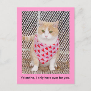 Only have eyes for you. holiday postcard