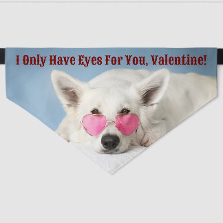 Only Have Eyes Valentine Pet Bandana Collar