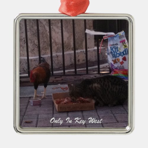 Only In Key WestCat  Rooster Christmas Ornament