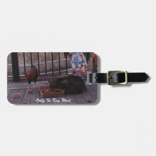 Only In Key West Cat  Rooster Luggage Tag