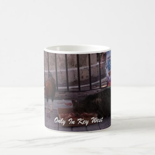 Only In Key West Cat  Rooster Photo Mug