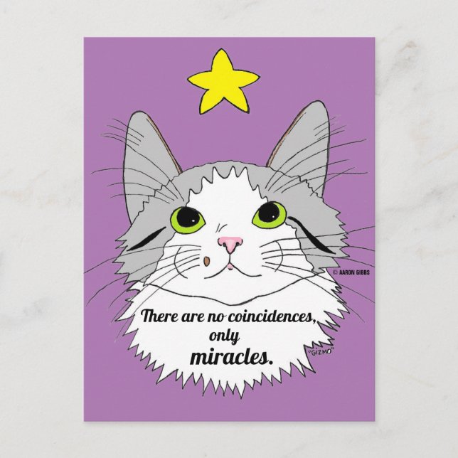 Only Miracles Inspirational Ragdoll Cat Postcard (Front)