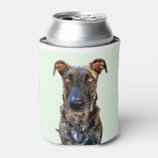 Only One in Dog Beers Can Cooler