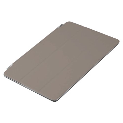 Only taupe gorgeous solid color background iPad air cover