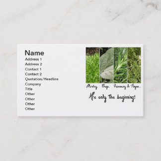 Only the Beginning Business Card