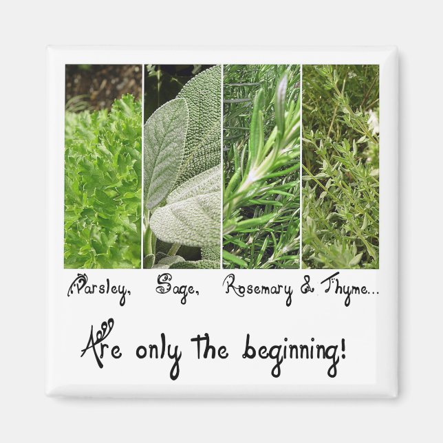 Only the Beginning Magnet (Front)