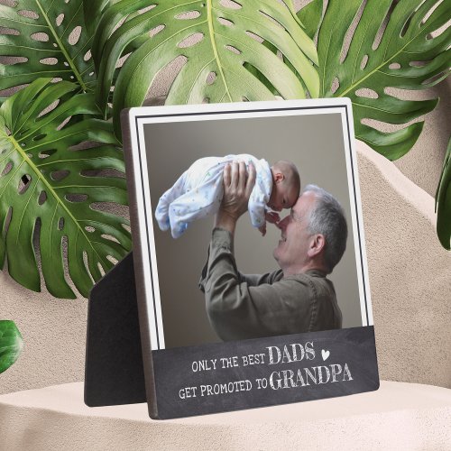 Only The Best Dads Get Promoted To Grandpa Photo Plaque