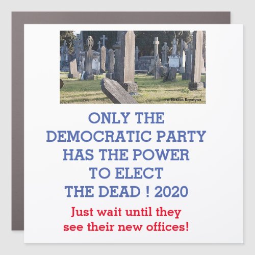 ONLY THE  DEMOCRATIC PARTY HAS THE POWER   CAR MAGNET