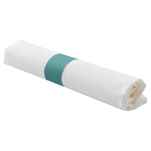 Only turquoise gorgeous seafoam solid color OSCB42 Napkin Bands