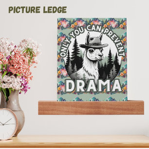 Only You Can Prevent Drama Lama Forest Picture Ledge