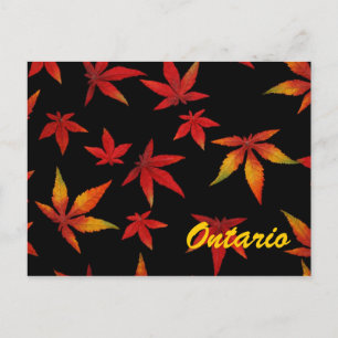 Ontario Autumn Leaves Postcard