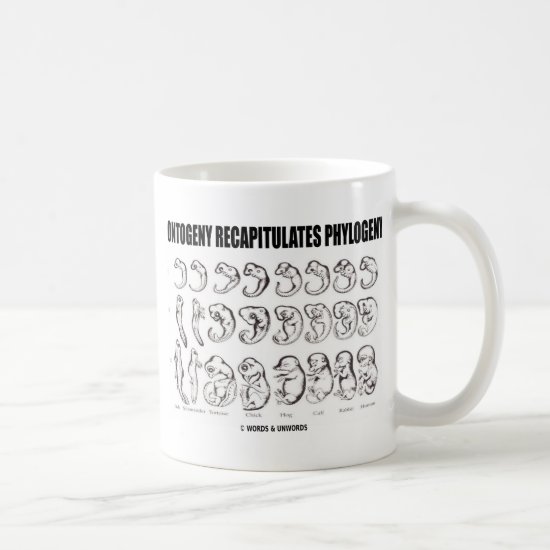 Ontogeny Recapitulates Phylogeny (Biology) Coffee Mug