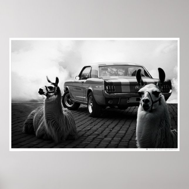Onyx Alpaca Coal | Llama and a car Poster (Front)