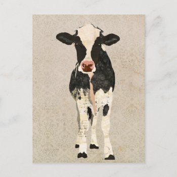 Onyx & Ivory Cow Postcard by Greyszoo at Zazzle