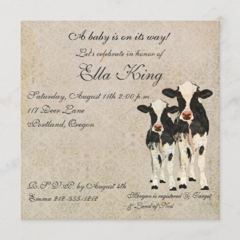 Onyx & Ivory Cows Baby Invitation by Greyszoo at Zazzle