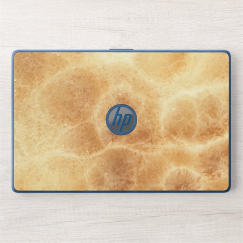 Onyx Marble Patterned Texture or Background Natur HP Laptop Skin