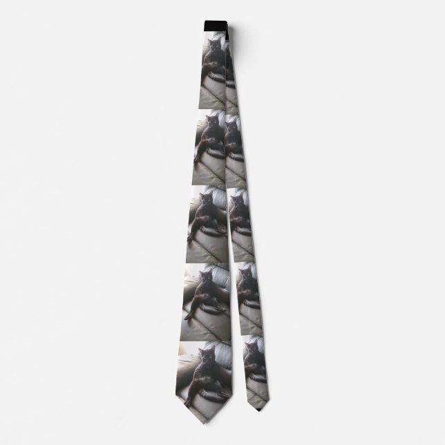 Onyx the cat tie (Front)