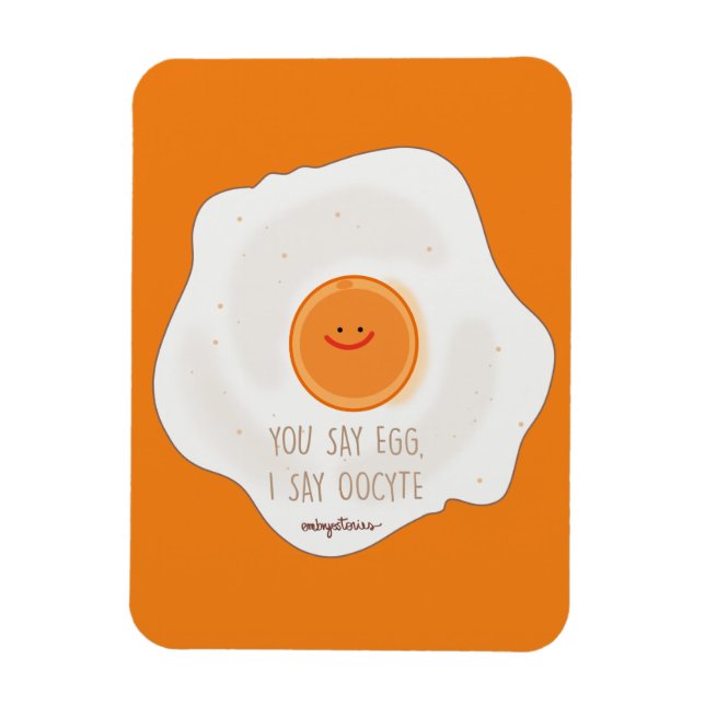 Oocyte egg magnet (Vertical)