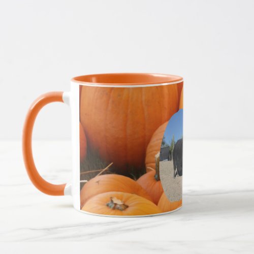 Oolong Pumpkin Mug 