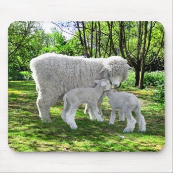 "oona & Her Twins" Mouse Pad by TabbyHallDesigns at Zazzle