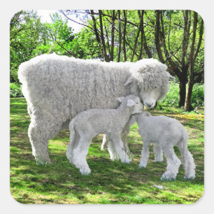 "Oona & Her Twins" Square Sticker