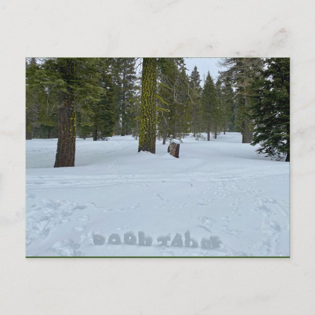 Oooh Tahoe Forest Postcard (Front)