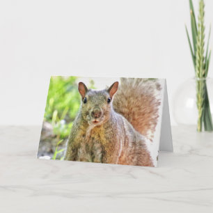 Ooops I Missed Your Birthday Card