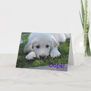 Oops, I'm Sorry apology card