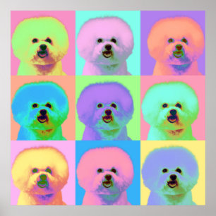 Op Art - Bichon Frise - Cody Poster
