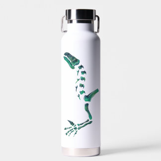 Opal Iguanodon Dinosaur Water Bottle