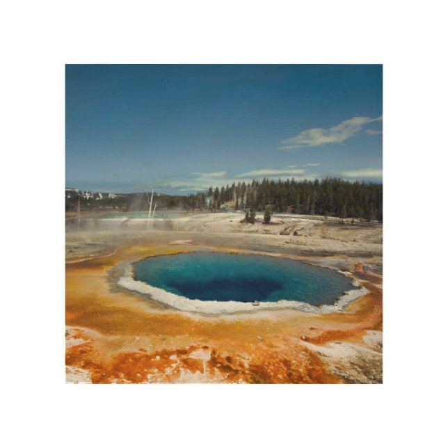 Opal Pool Wood Wall Decor (Front)