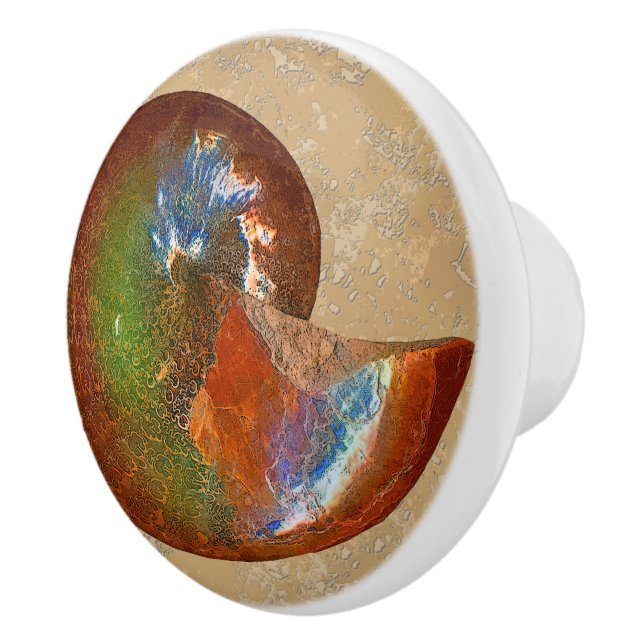 Opalized Sphenodiscus Lenticularis Ammonite Knobs (Right)