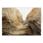 Open (Front Horizontal)