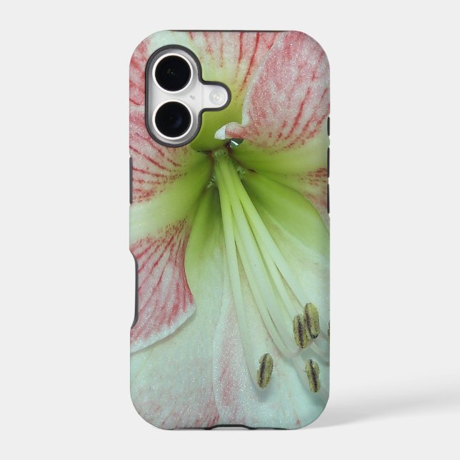 Open Amaryllis Apple Blossom Iphone Case (Back)