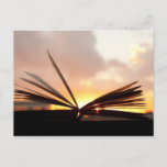 Open Book And Sunset Photograph Postcard at Zazzle
