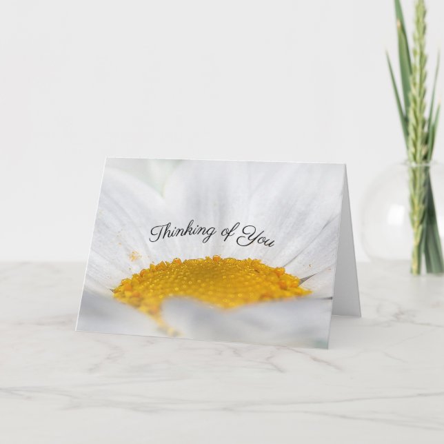 Open Face White Daisy Thinking of You Sympathy Card (Front)