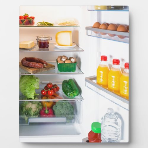 Open fridge filled with food plaque