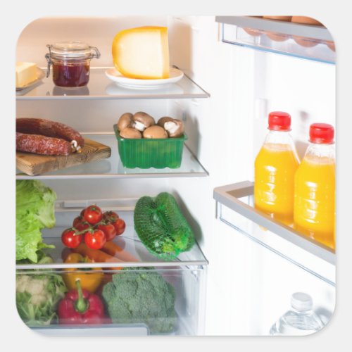Open fridge filled with food square sticker