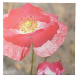 Open Heart Poppy Floral Ceramic Tile