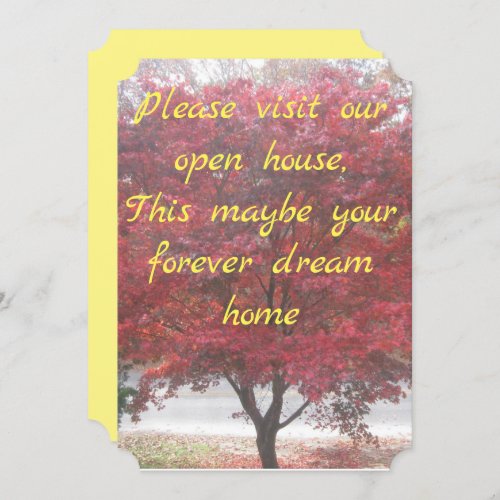 Open House Invitations