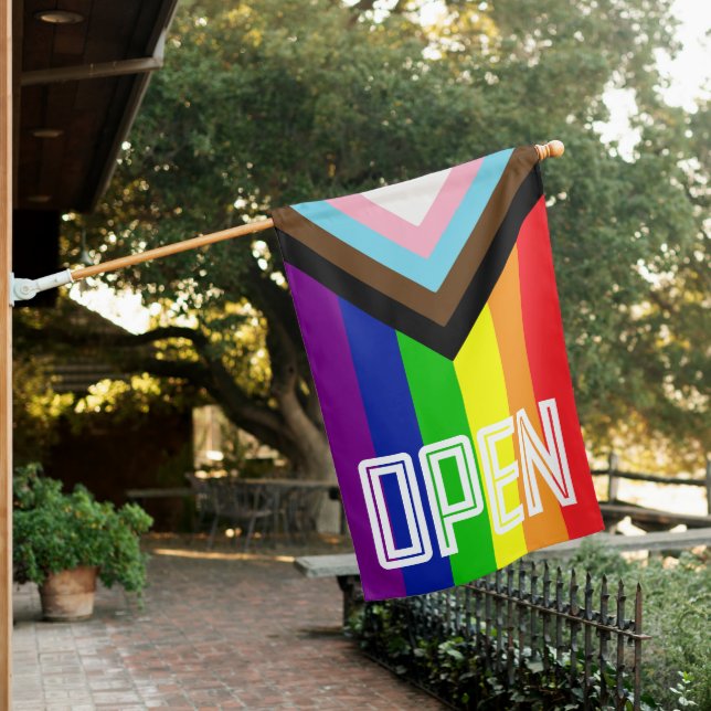 OPEN INCLUSIVE BUSINESS OPEN SIGN (In SItu)