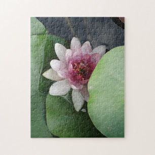 Open Lotus Flower Photo Jigsaw Puzzle