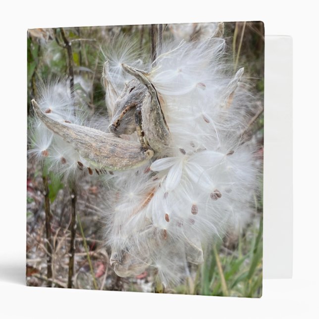 Open Milkweed Pods | Seeds with Silk | 3 Ring Binder (Front/Inside)