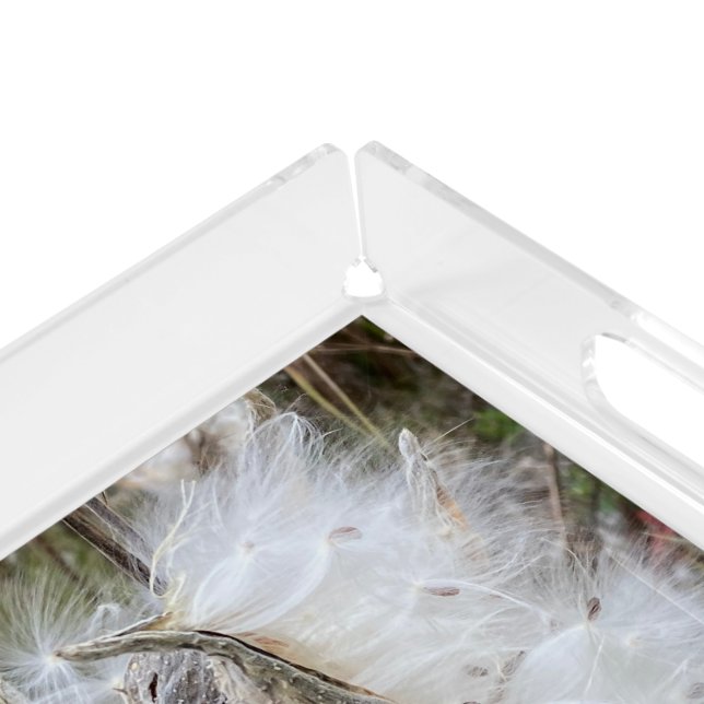 Open Milkweed Pods | Seeds with Silk | Acrylic Tray (Corner)